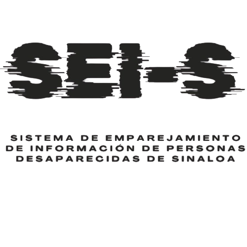 Logo SEI-S